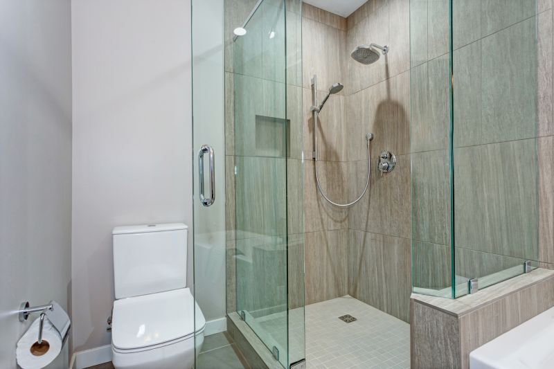 Contemporary Shower Features