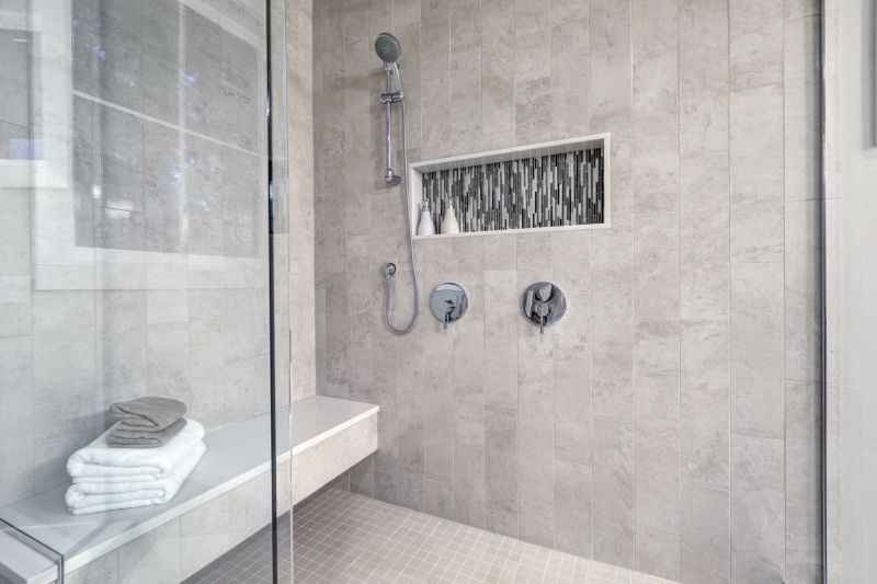 Modern Shower Niche